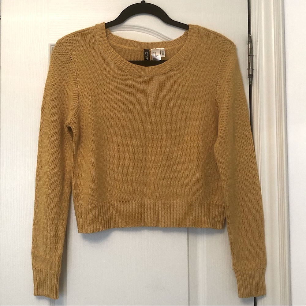 H&M Divided cropped sweater